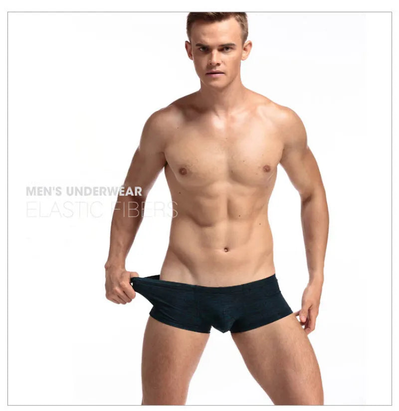 DANJIU Mens Solid Low Waist Sexy Gay Male Underwear Breathable Soft Man Underpants Boxers U Convex Calzoncillos - Cosmic Twink
