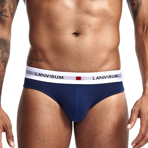 New Sexy Men Cotton Underwear Breathable Mens Briefs Underpants Comfortable Gay Underwear penis Cueca Male Panties Shorts - Cosmic Twink