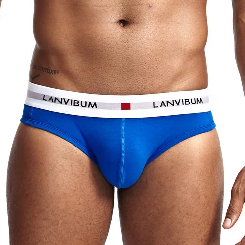 New Sexy Men Cotton Underwear Breathable Mens Briefs Underpants Comfortable Gay Underwear penis Cueca Male Panties Shorts - Cosmic Twink